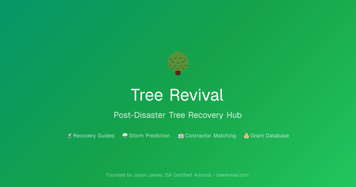 Tree Revival — Post-Disaster Tree Recovery Hub